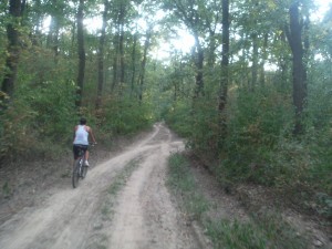 cicloteque_in_padure-2