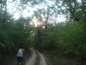 cicloteque_in_padure cicloteque_in_padure