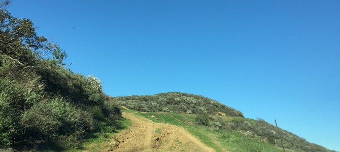 O luna de calatorie și prima peripetie